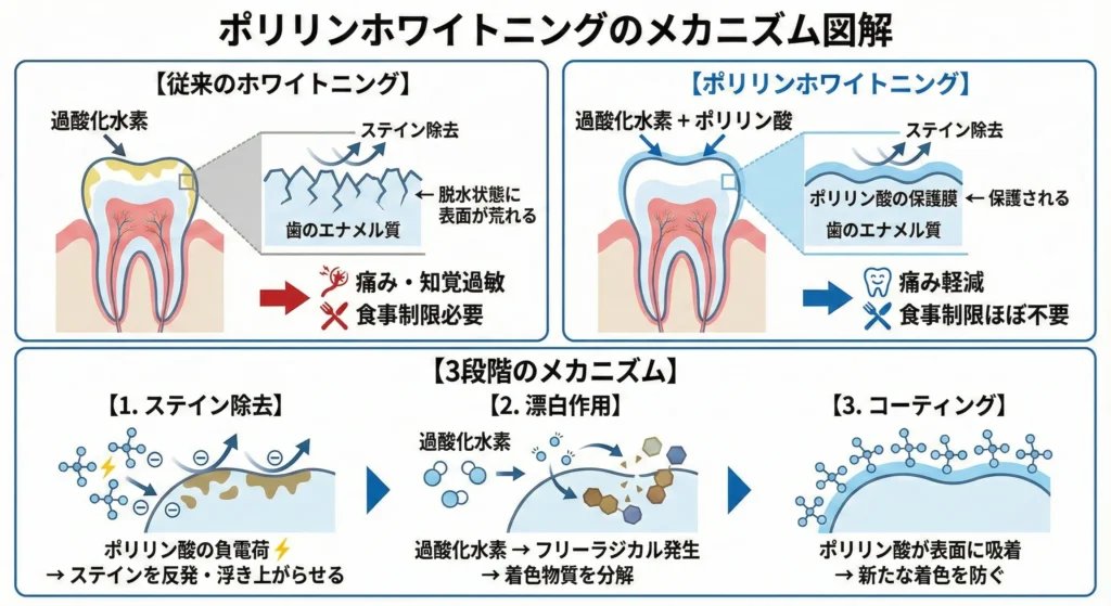 ポリリン酸の作用メカニズム