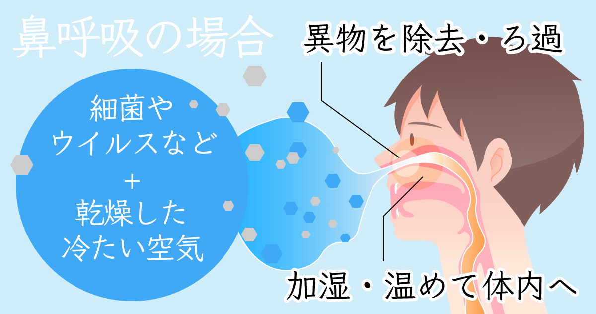 鼻呼吸のイメージ